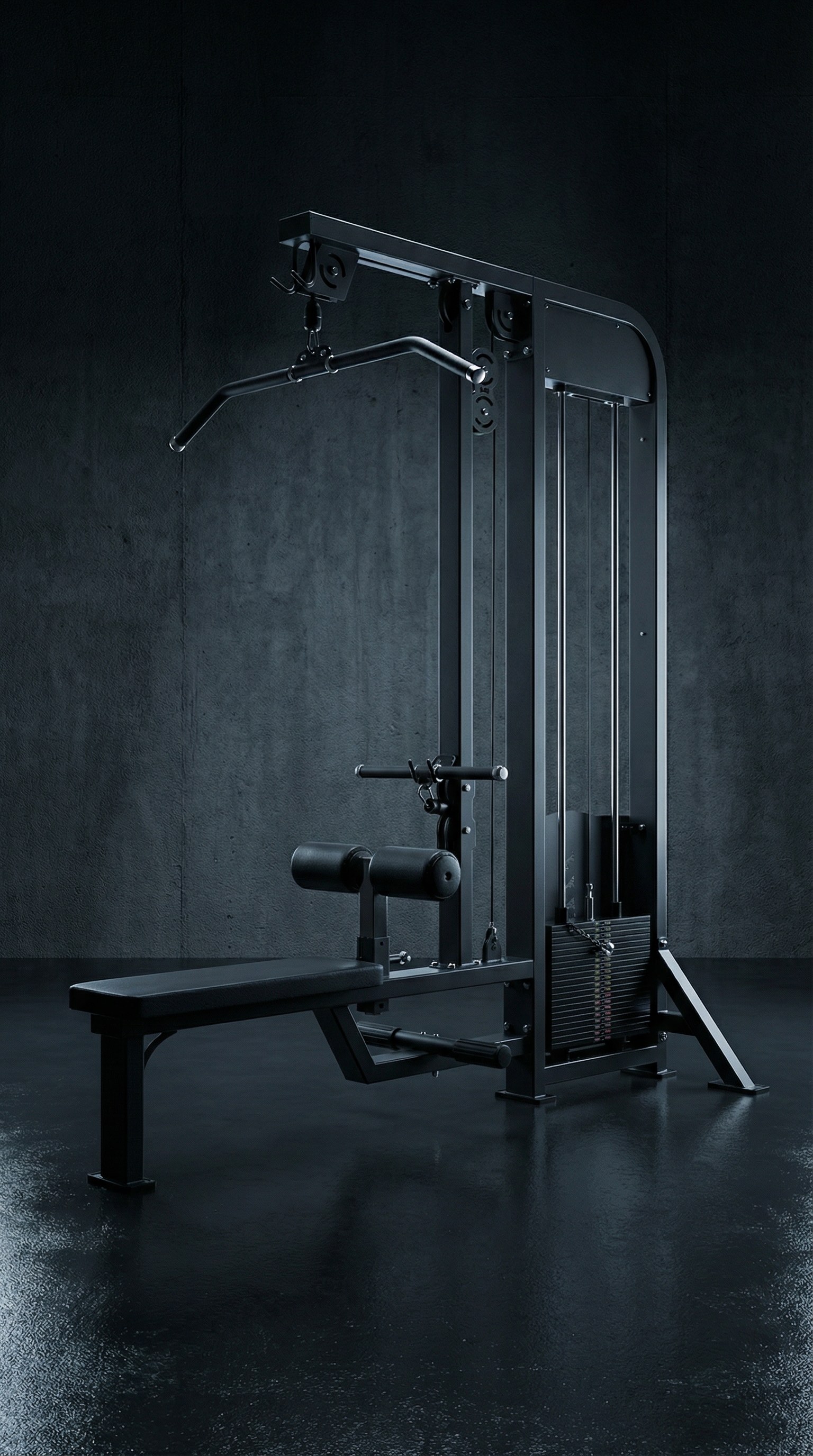 Lat Pulldown Low Row